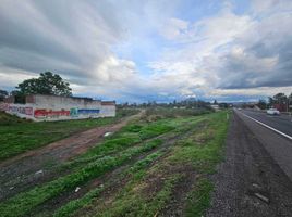 在Irapuato, Guanajuato出售的 土地, Irapuato