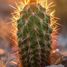  Terreno (Parcela) en venta en La Paz, Baja California Sur, La Paz, Baja California Sur