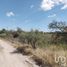  Land for sale in Pabellon De Arteaga, Aguascalientes, Pabellon De Arteaga