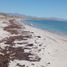  Grundstück zu verkaufen in La Paz, Baja California Sur, La Paz