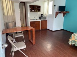 1 Schlafzimmer Wohnung zu vermieten in Chiapas, Comitan De Dominguez, Chiapas