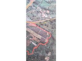  Land for sale in Rionegro, Antioquia, Rionegro