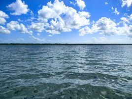  Grundstück zu verkaufen in Othon P Blanco, Quintana Roo, Othon P Blanco