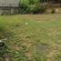  Terreno (Parcela) en venta en Oaxaca, Dist Tuxtepec, Oaxaca