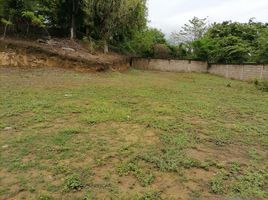  Terreno (Parcela) en venta en Oaxaca, Dist Tuxtepec, Oaxaca