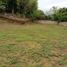  Land for sale in Dist Tuxtepec, Oaxaca, Dist Tuxtepec