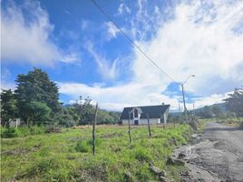  Terreno (Parcela) en venta en Bugaba, Chiriquí, Volcán, Bugaba