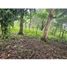  Terrain for sale in Dolega, Chiriqui, Potrerillos, Dolega