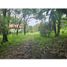  Terrain for sale in Jungla de Panama Wildlife Refuge, Palmira, Potrerillos