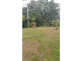  Land for sale in Barrio Balboa, La Chorrera, Barrio Balboa