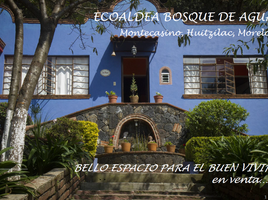 17 Schlafzimmer Haus zu verkaufen in Tianguistenco, Mexico, Tianguistenco, Mexico