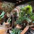 3 Schlafzimmer Haus zu verkaufen in Tianguistenco, Mexico, Tianguistenco