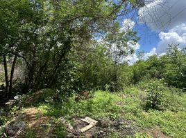  Land for sale in Campeche, Campeche, Campeche