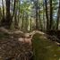  Land for sale in Curarrehue, Araucania, Curarrehue