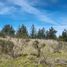  Terrain for sale in Paredones, Cardenal Caro, Paredones