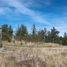  Land for sale in Paredones, Cardenal Caro, Paredones