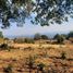  Grundstück zu verkaufen in Donato Guerra, Mexico, Donato Guerra