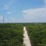  Terreno (Parcela) en venta en Puerto Morelos, Quintana Roo, Puerto Morelos