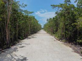  Terreno (Parcela) en venta en Puerto Morelos, Quintana Roo, Puerto Morelos