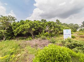  Grundstück zu verkaufen in Chicxulub Pueblo, Yucatan, Chicxulub Pueblo