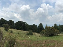  Terrain for sale in Mazamitla, Jalisco, Mazamitla