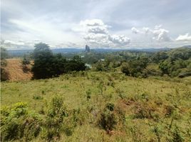  Terreno (Parcela) en venta en Penol, Antioquia, Penol