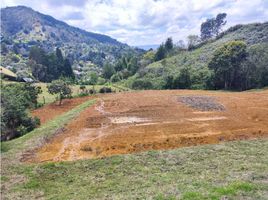  Land for sale in Guarne, Antioquia, Guarne