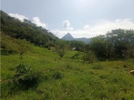  Terreno (Parcela) en venta en Titiribi, Antioquia, Titiribi