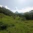  Land for sale in Titiribi, Antioquia, Titiribi