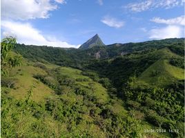  Terreno (Parcela) en venta en Titiribi, Antioquia, Titiribi