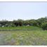  Land for sale in Marcabeli, El Oro, Marcabeli, Marcabeli