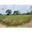  Land for sale in Loreto, Orellana, Loreto, Loreto, Orellana