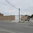  Land for rent in Torreon, Coahuila, Torreon, Coahuila