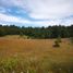  Land for sale in Pueblo Nuevo, Durango, Pueblo Nuevo