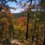  Land for sale in Pueblo Nuevo, Durango, Pueblo Nuevo, Durango