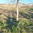  Land for sale in Parras, Coahuila, Parras