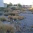  Land for rent in Torreon, Coahuila, Torreon