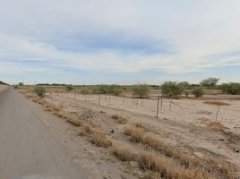  Land for sale in Torreon, Coahuila, Torreon