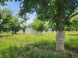  Land for sale in Matamoros, Coahuila, Matamoros
