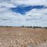  Terreno (Parcela) en venta en Torreon, Coahuila, Torreon