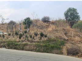  Grundstück zu verkaufen in Isidro Fabela, Mexico, Isidro Fabela