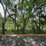 Terrain à vendre à Zapopan, Jalisco, Zapopan, Jalisco