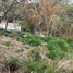  Terreno (Parcela) en venta en Zapopan, Jalisco, Zapopan, Jalisco