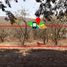  Land for sale in Charo, Michoacan, Charo