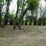  Land for rent in Jamapa, Veracruz, Jamapa