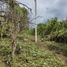  Land for sale in Amacuzac, Morelos, Amacuzac