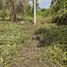  Land for sale in Amacuzac, Morelos, Amacuzac