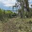  Land for sale in Amacuzac, Morelos, Amacuzac