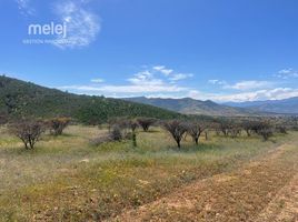  Land for sale in Nogales, Quillota, Nogales