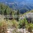  Land for sale in Galeana, Nuevo Leon, Galeana